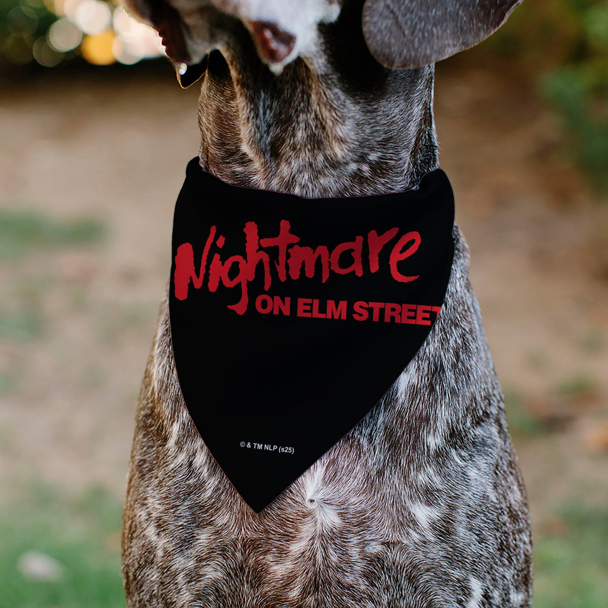 Pet Bandana - A Nightmare on Elm Street Freddy DREAM DEMON Pose Black/Red | HT Animal Supply