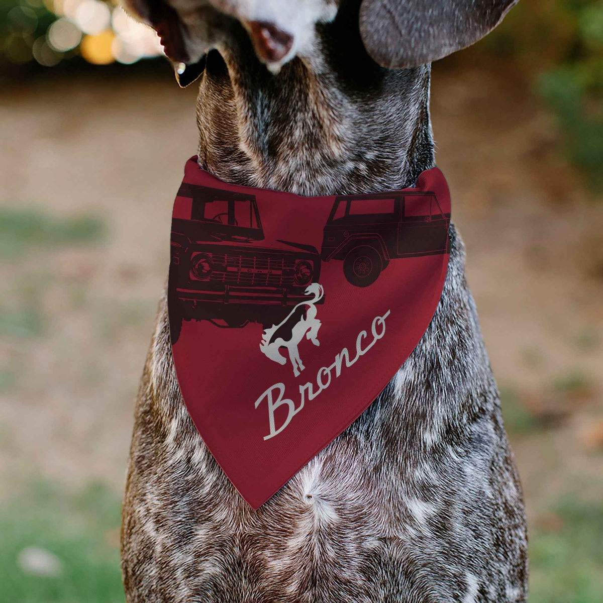 Pet Bandana - Ford Vintage Bronco Logo and Silhouette Red/Black/White
