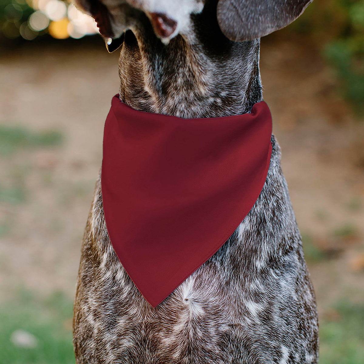 Pet Bandana - Ford Vintage Bronco Logo and Silhouette Red/Black/White | HT Animal Supply