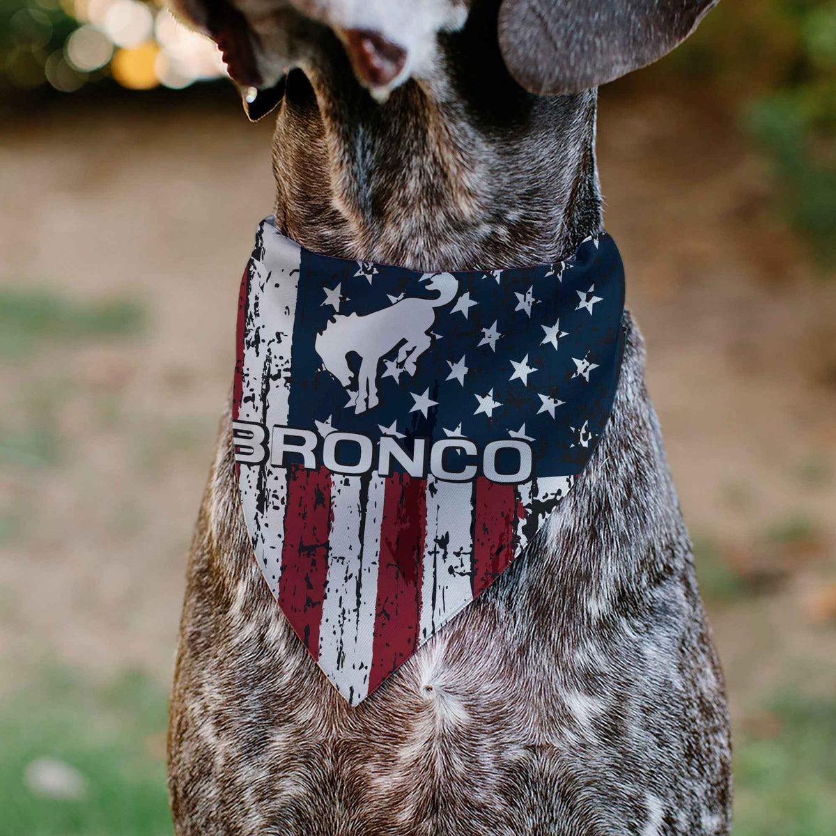 Pet Bandana - Ford BRONCO Americana Stars and Stripes Weathered Red/White/Blue