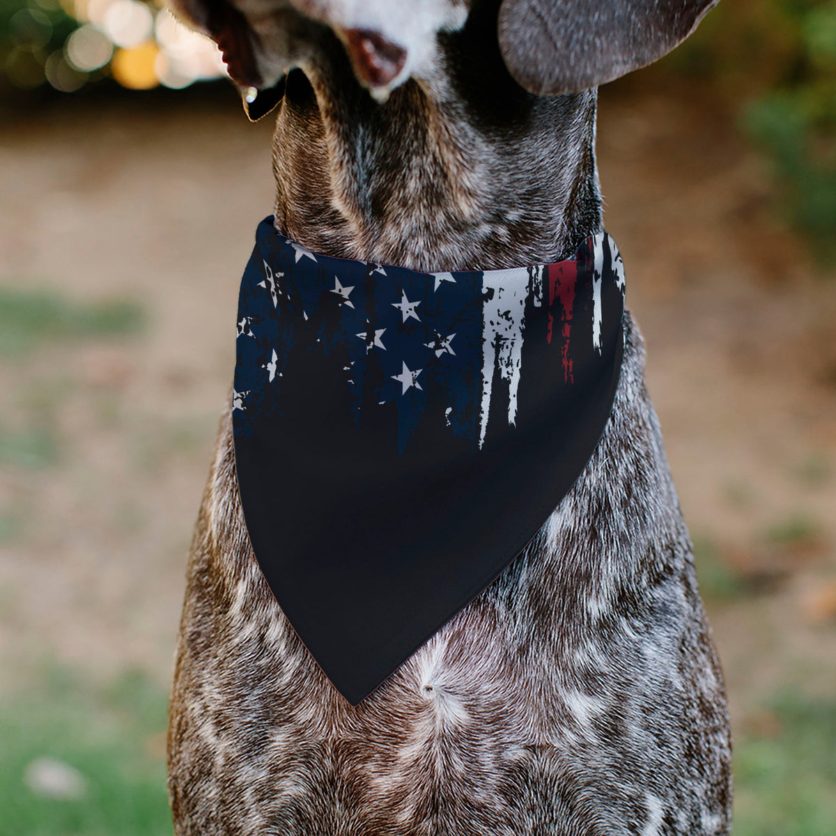 Pet Bandana - Ford BRONCO Americana Stars and Stripes Weathered Red/White/Blue | HT Animal Supply