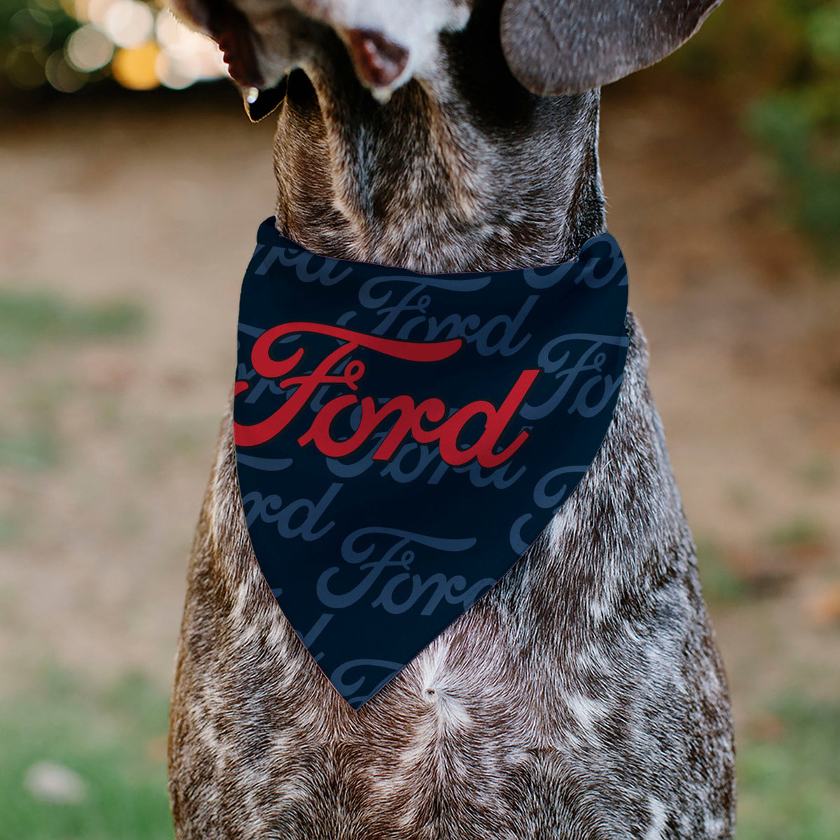 Pet Bandana - FORD Script Stacked Blues/Red | HT Animal Supply