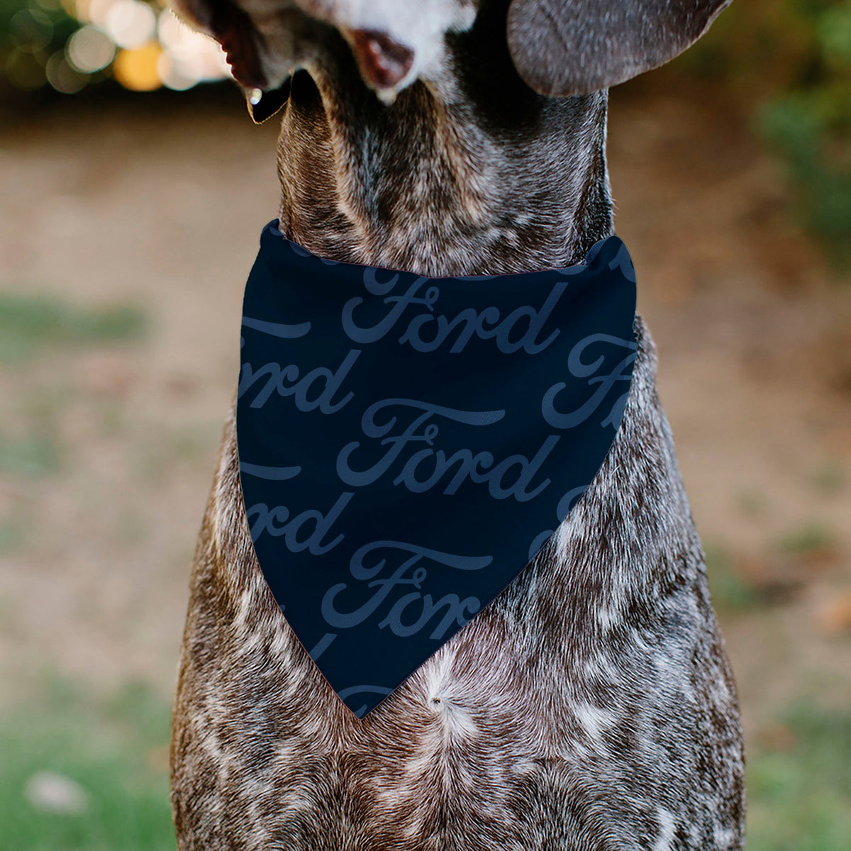 Pet Bandana - FORD Script Stacked Blues/Red | HT Animal Supply