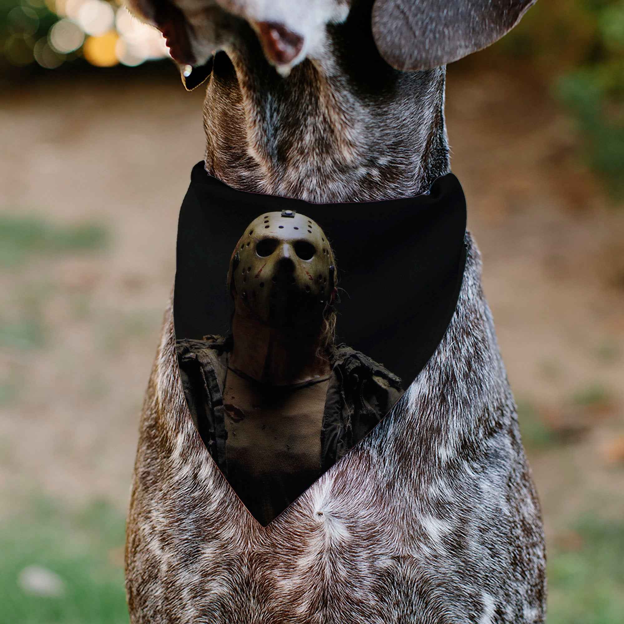 Buckle-Down Friday The 13TH Jason Pose and Title Logo Black/Red Over-the-Collar Dog Bandana