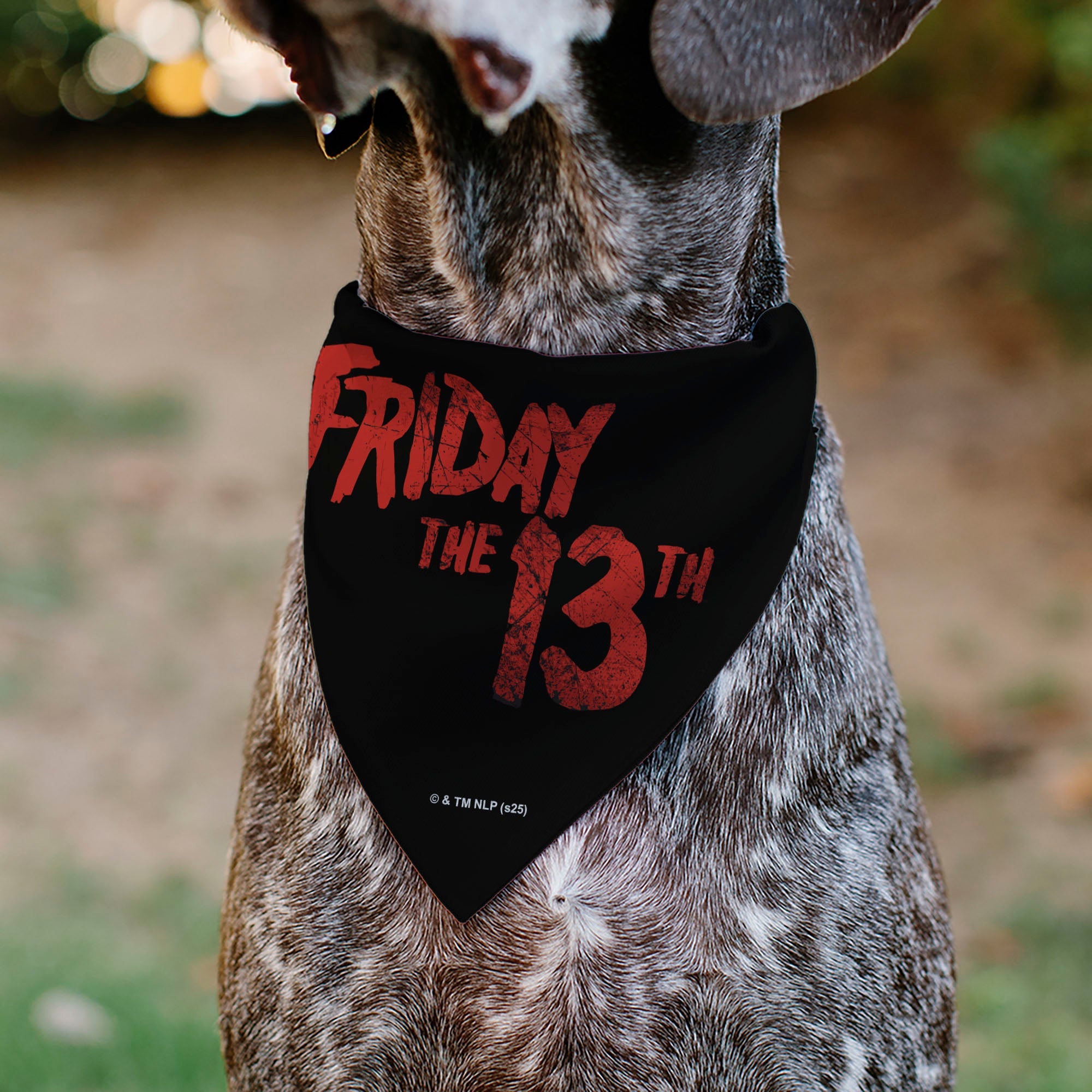 Buckle-Down Friday The 13TH Jason Pose and Title Logo Black/Red Over-the-Collar Dog Bandana