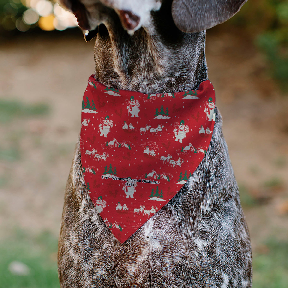 Pet Bandana - FROSTY THE SNOWMAN and Karen Pose and Title Logo Red/White/Green | HT Animal Supply