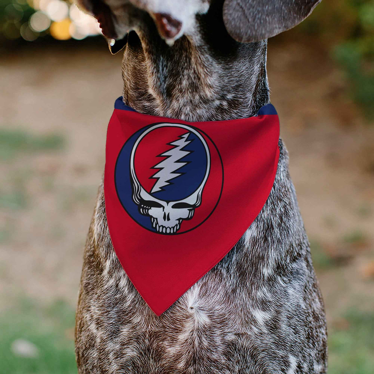 Pet Bandana - Grateful Dead Steal Your Face Logo Centered Red and Blue