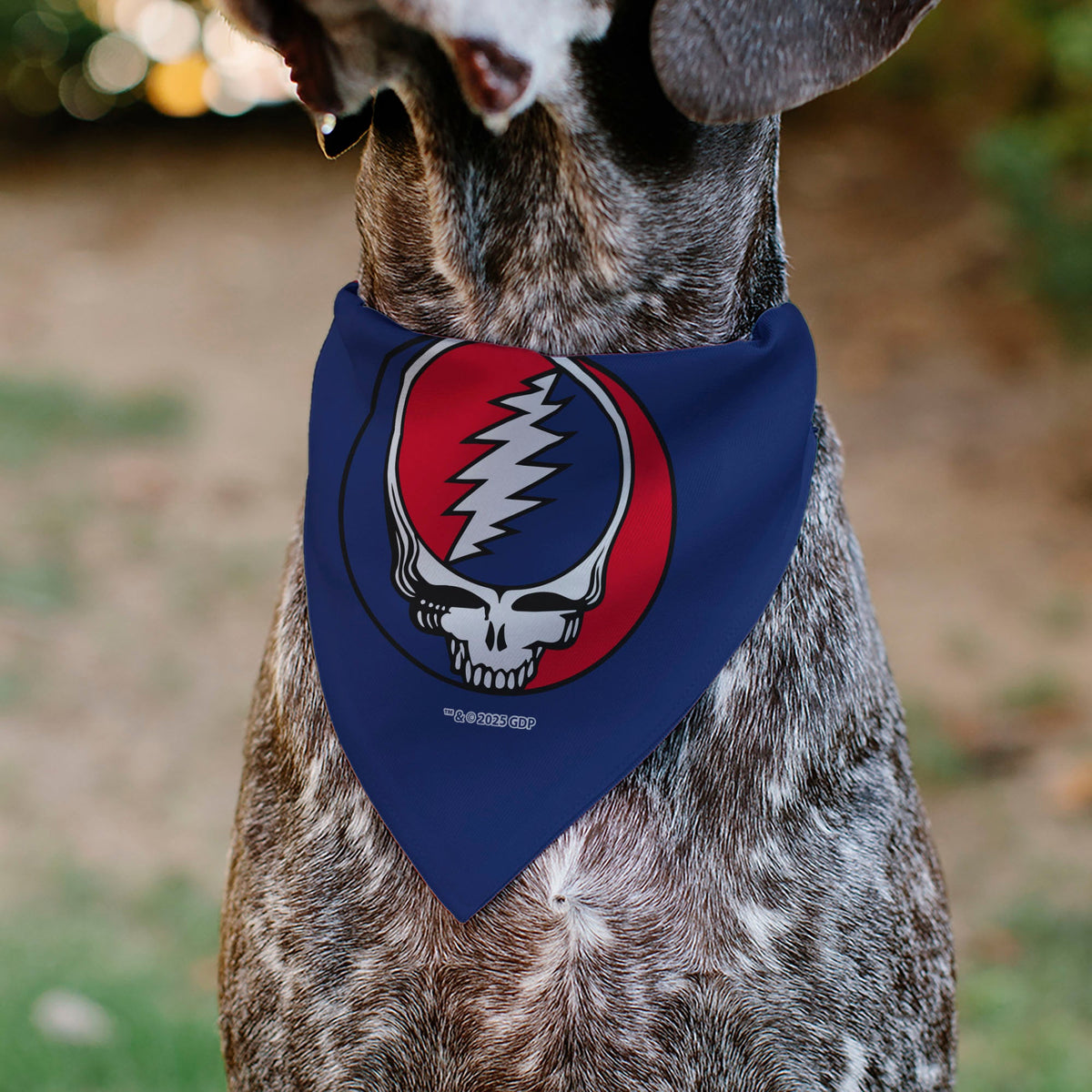 Pet Bandana - Grateful Dead Steal Your Face Logo Centered Red and Blue | HT Animal Supply