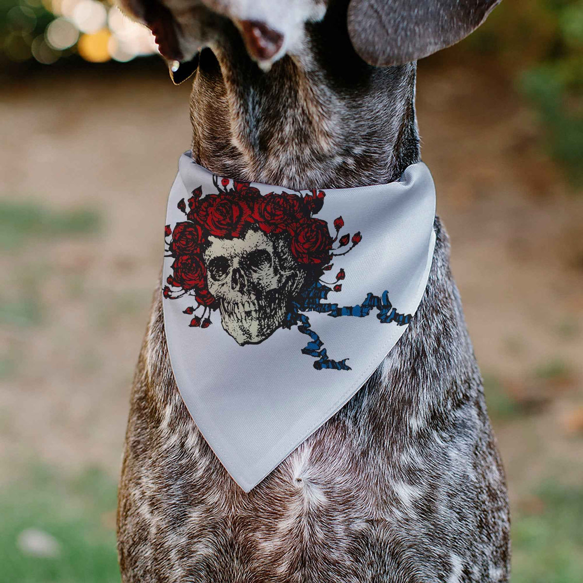 Pet Bandana - Grateful Dead Skull and Rose Face White