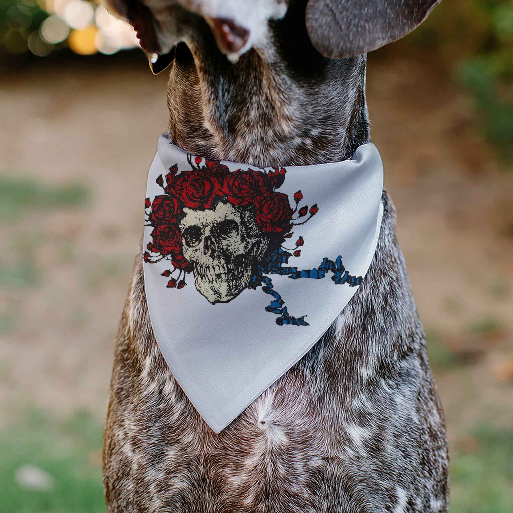 Pet Bandana - Grateful Dead Skull and Rose Face White