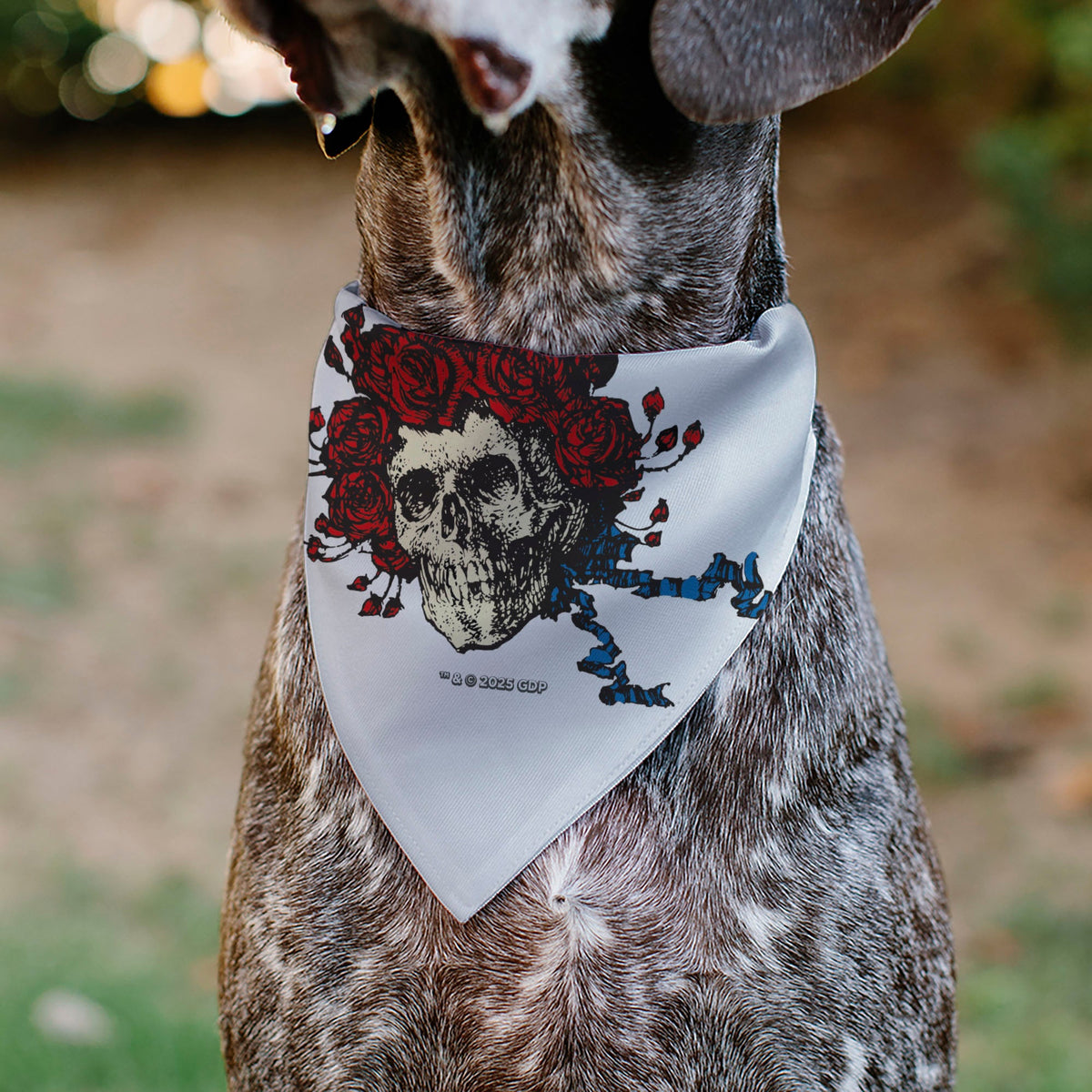 Pet Bandana - Grateful Dead Skull and Rose Face White | HT Animal Supply