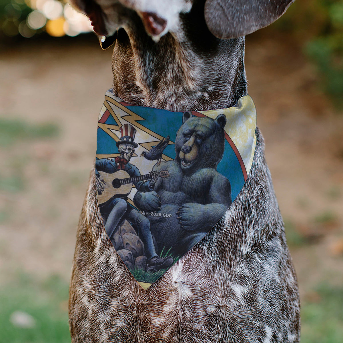 Pet Bandana - Grateful Dead Daves Picks Volume Five Truman UCLA Cover Art | HT Animal Supply