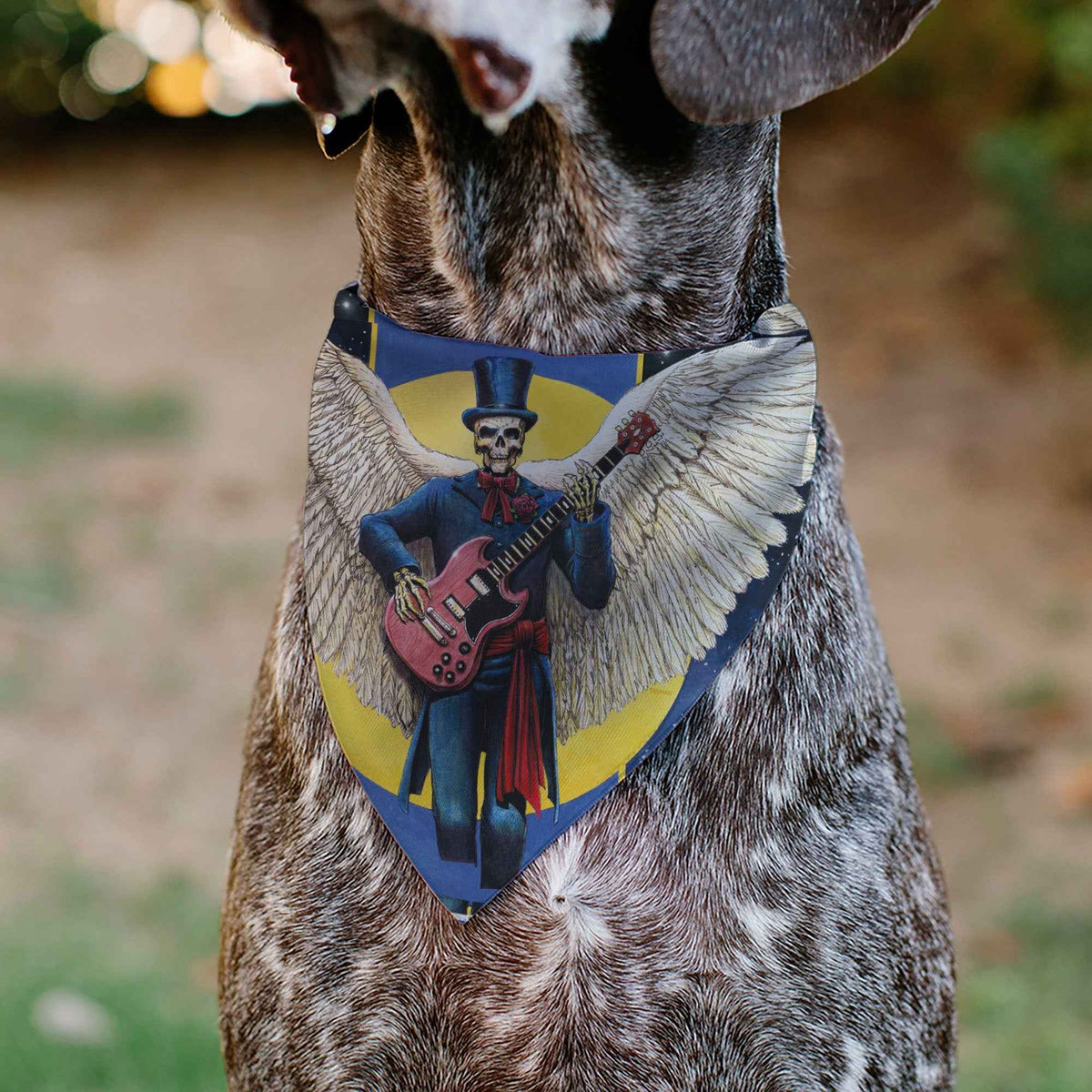 Pet Bandana - Grateful Dead Daves Picks Volume Six San Francisco and St. Louis Skeleton Cover Art