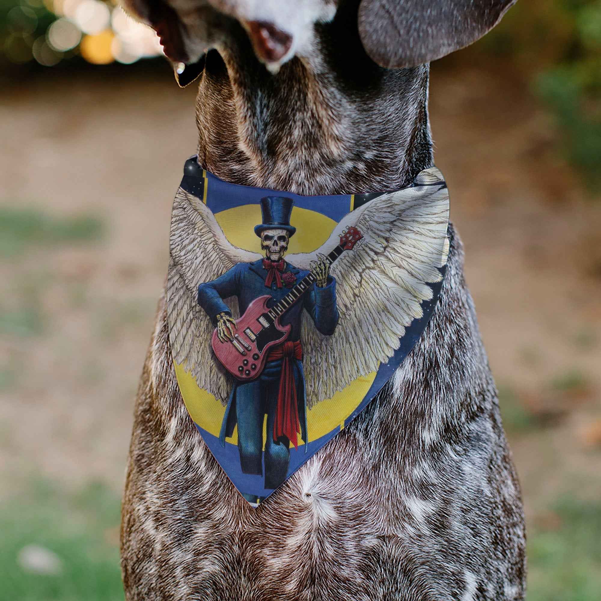 Pet Bandana - Grateful Dead Dave's Picks Volume Six San Francisco and St. Louis Skeleton Cover Art