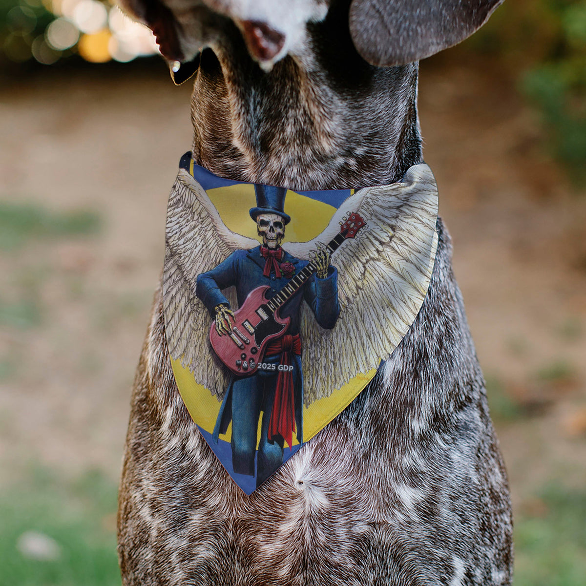 Pet Bandana - Grateful Dead Daves Picks Volume Six San Francisco and St. Louis Skeleton Cover Art | HT Animal Supply