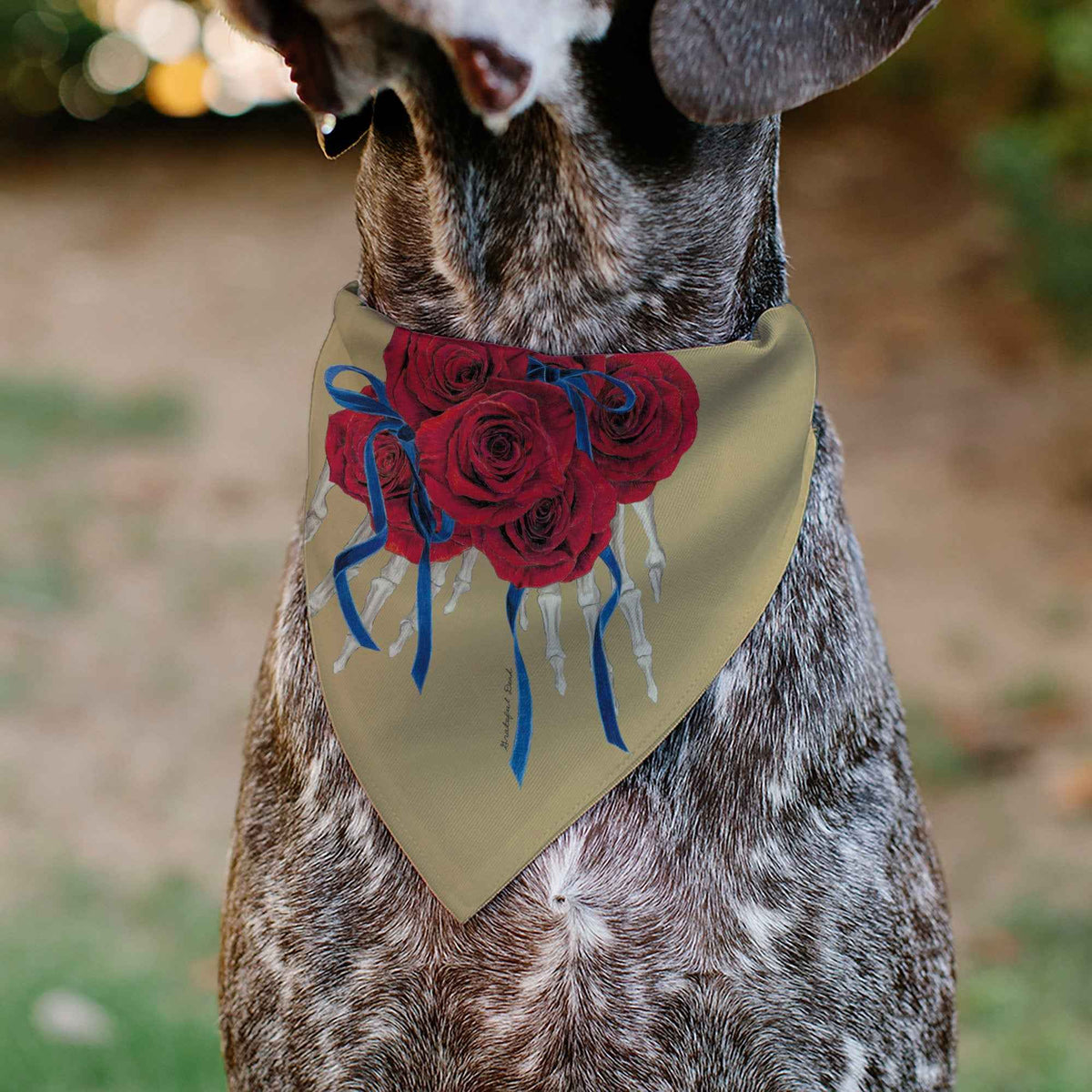 Pet Bandana - GRATEFUL DEAD THE OTHER ONE Roses and Text Tan/Blue/Red