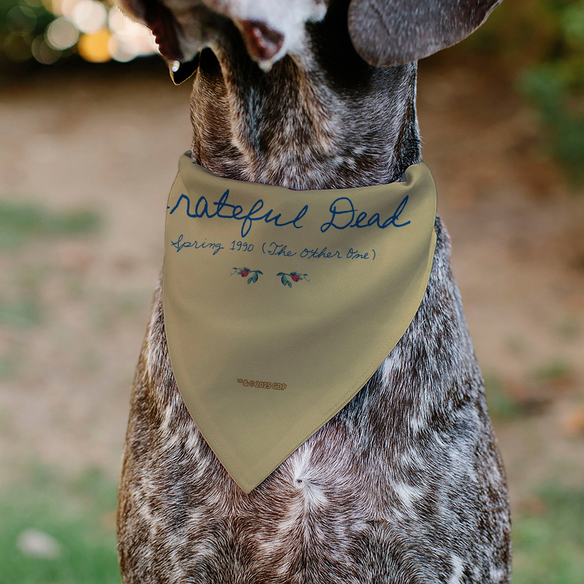 Pet Bandana - GRATEFUL DEAD THE OTHER ONE Roses and Text Tan/Blue/Red | HT Animal Supply