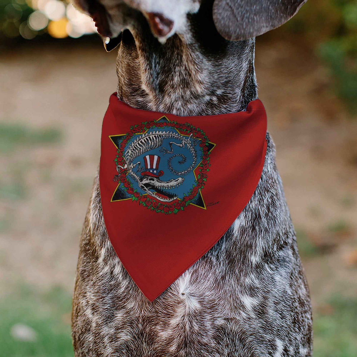 Pet Bandana - Grateful Dead Daves Picks Volume Ten Alligator Bonus Cover Art Red