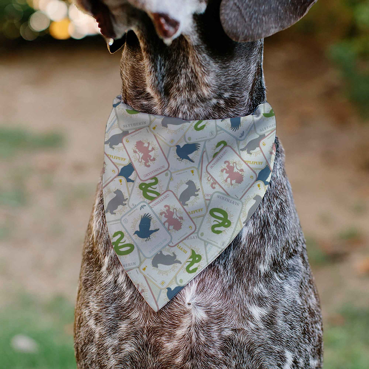 Pet Bandana - Harry Potter School Tarot Cards Stacked Beige/Multi Color