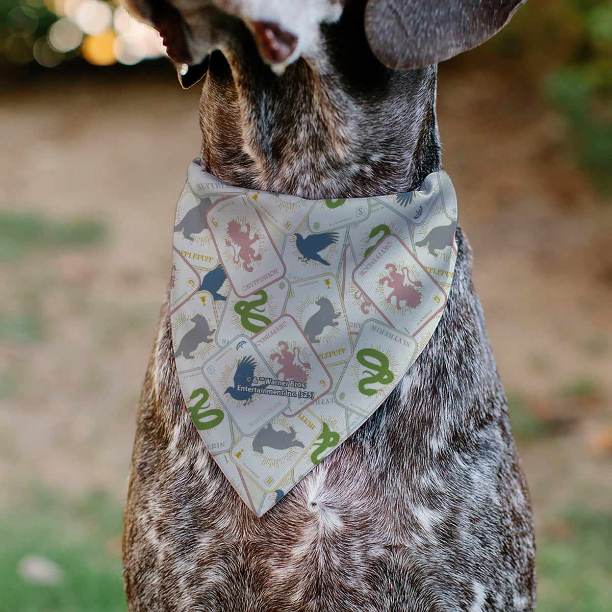Pet Bandana - Harry Potter School Tarot Cards Stacked Beige/Multi Color | HT Animal Supply