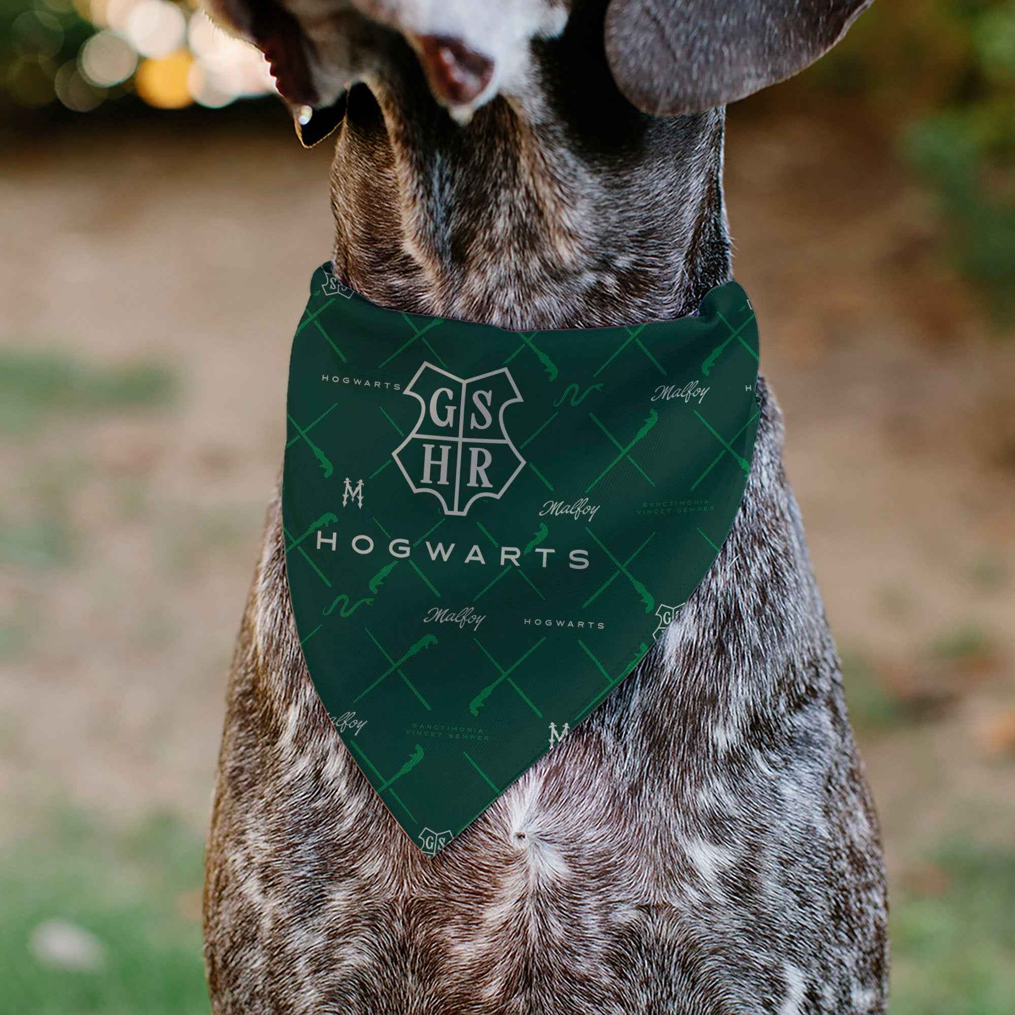 Buckle-Down Hogwarts Malfoy Monogram Icons Greens/White Over-the-Collar Dog Bandana