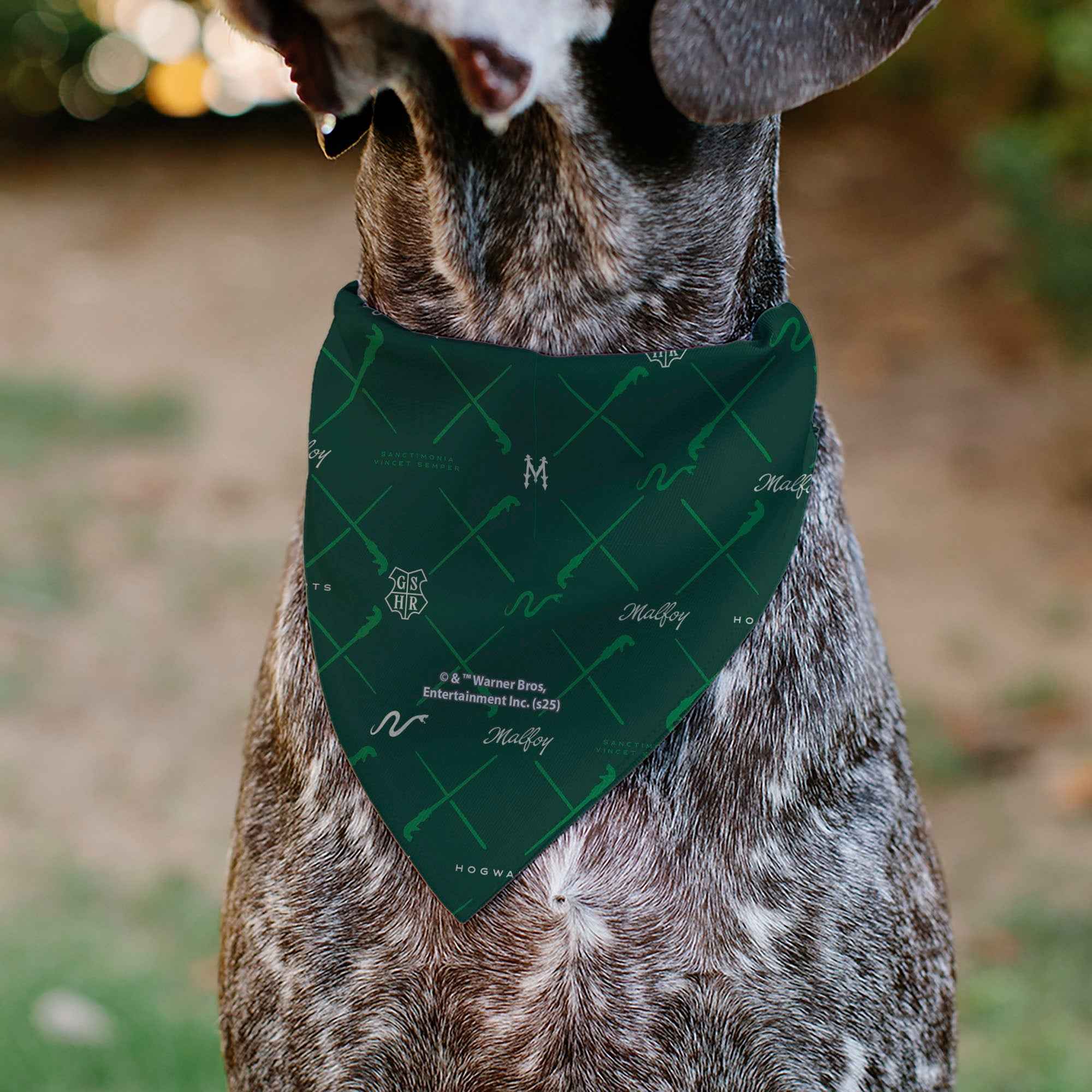 Buckle-Down Hogwarts Malfoy Monogram Icons Greens/White Over-the-Collar Dog Bandana