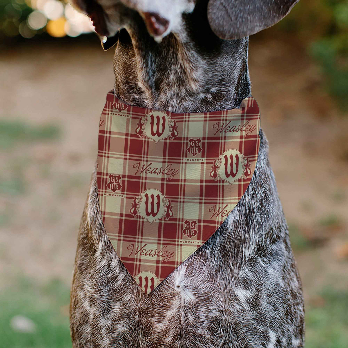 Pet Bandana - Harry Potter WEASLEY Family House Crest Plaid Beige/Burgundy