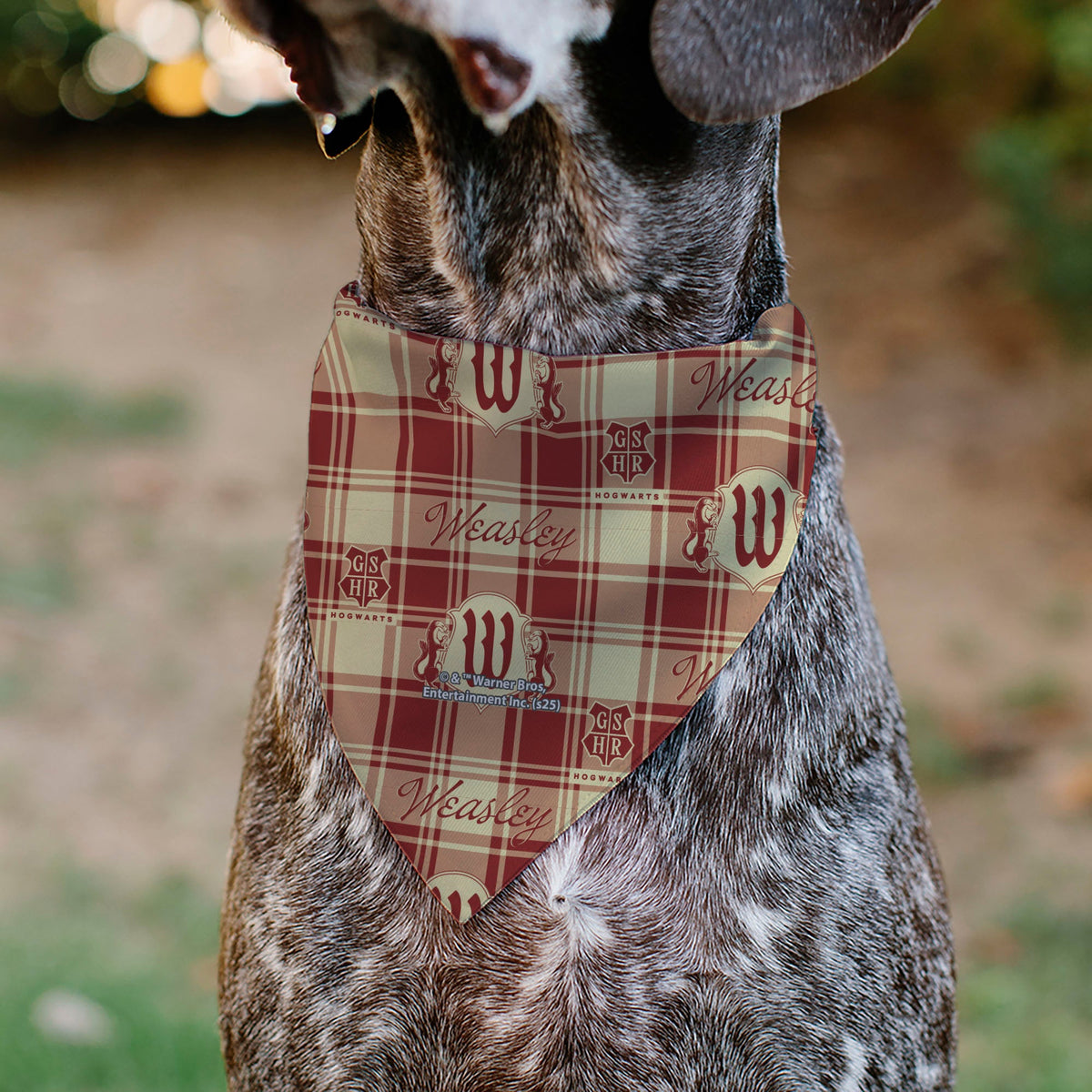 Pet Bandana - Harry Potter WEASLEY Family House Crest Plaid Beige/Burgundy | HT Animal Supply