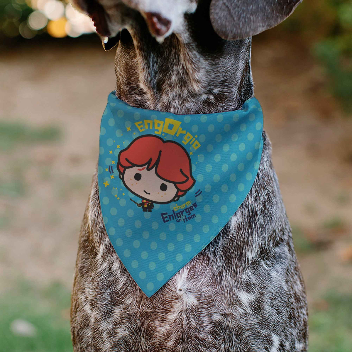 Pet Bandana - Chibi Harry Potter ENGORGIO CHARM Pose Polka Dot Blues