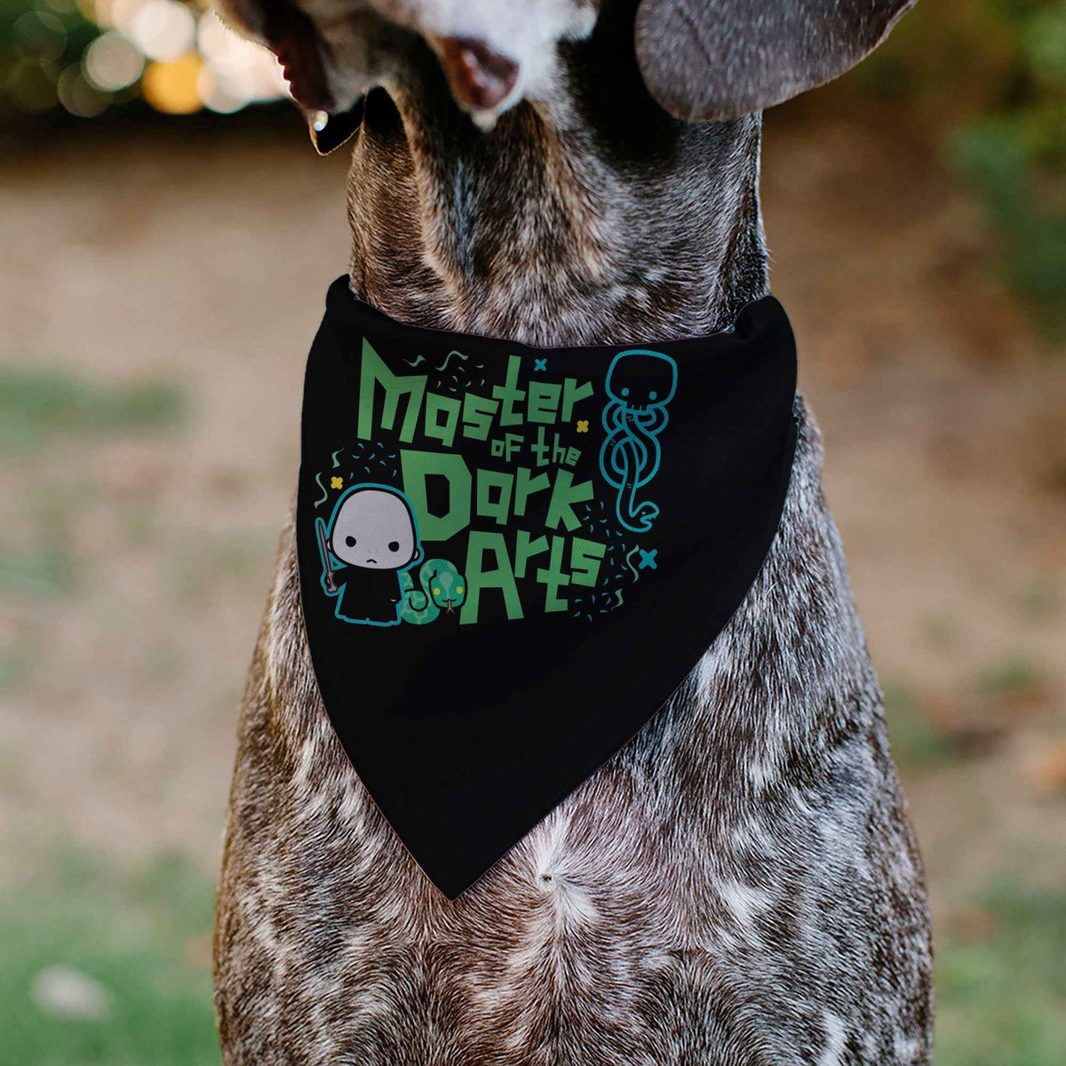 Pet Bandana - Chibi Voldemort MASTER OF THE DARK ARTS Pose Black/Greens/Blues