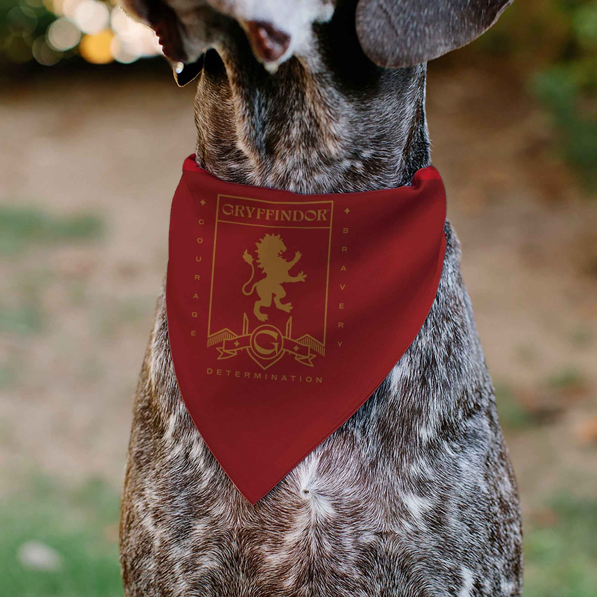 Buckle-Down Harry Potter Gryffindor Traits Banner and Icons Reds/Yellow Over-the-Collar Dog Bandana