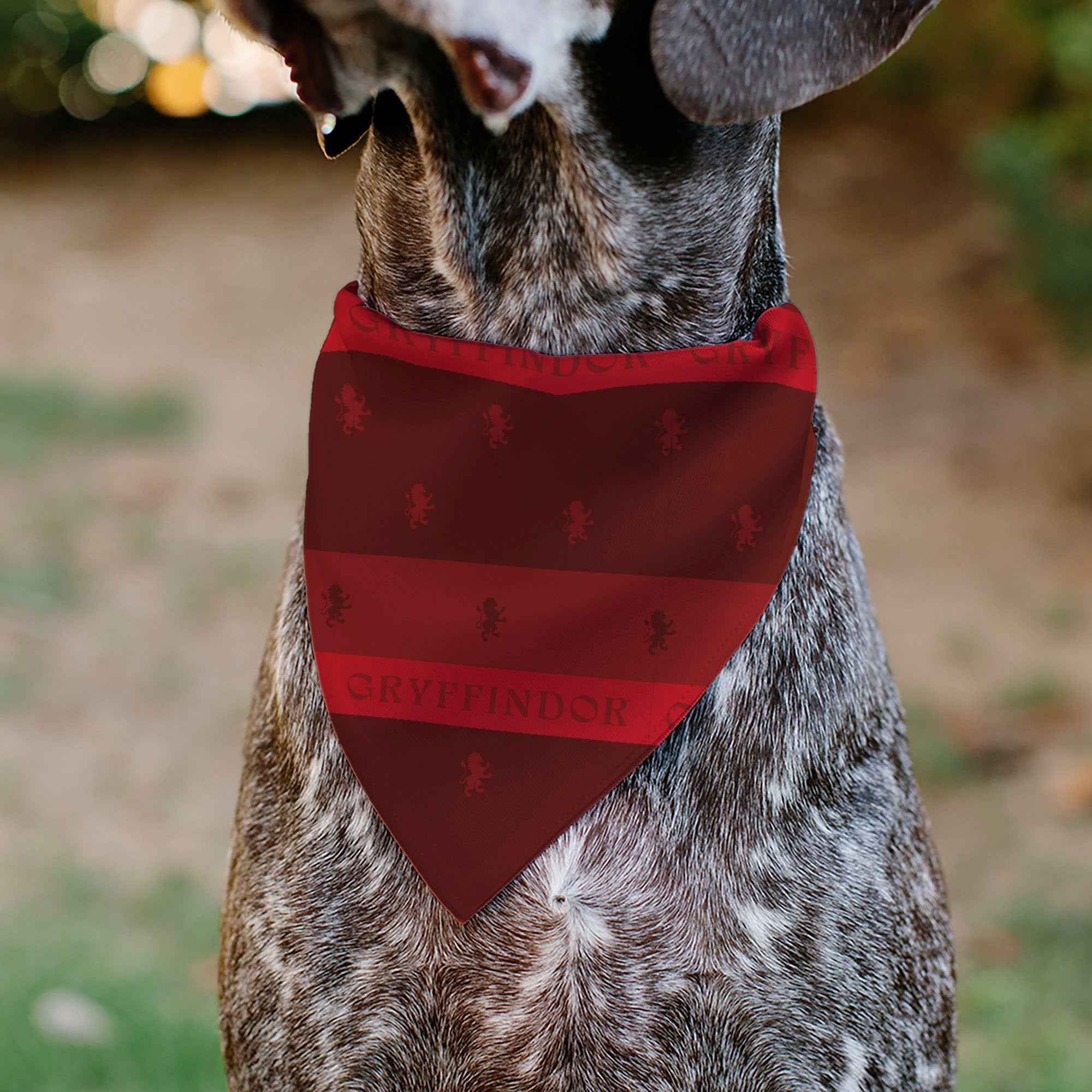 Buckle-Down Harry Potter Gryffindor Traits Banner and Icons Reds/Yellow Over-the-Collar Dog Bandana