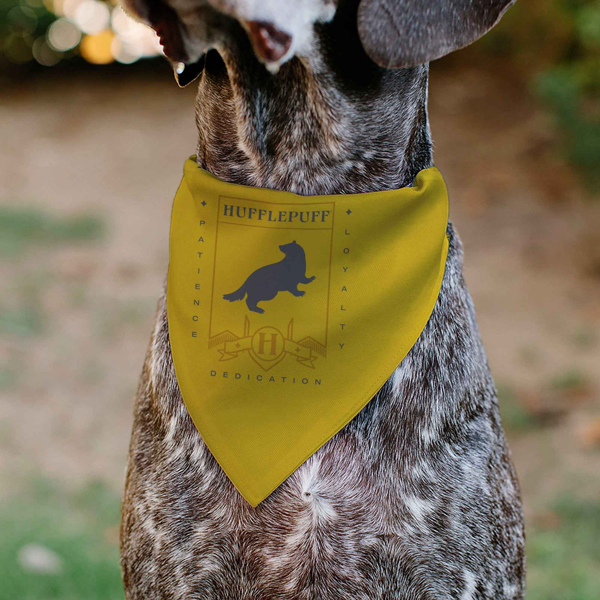 Pet Bandana - Harry Potter HUFFLEPUFF Traits Banner and Icons Yellows/Blue