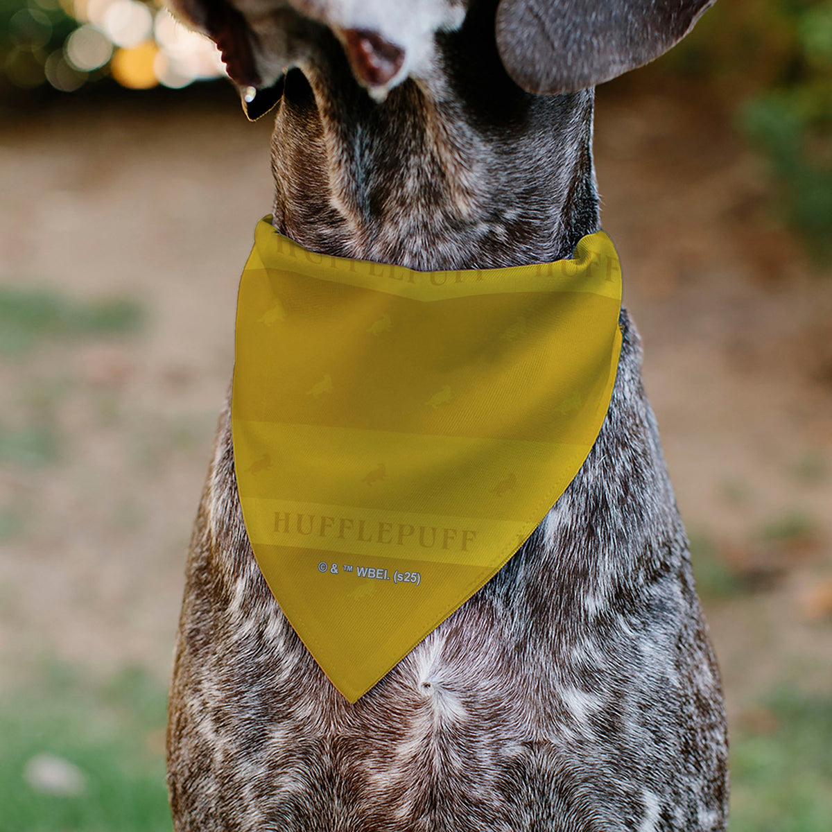Pet Bandana - Harry Potter HUFFLEPUFF Traits Banner and Icons Yellows/Blue | HT Animal Supply