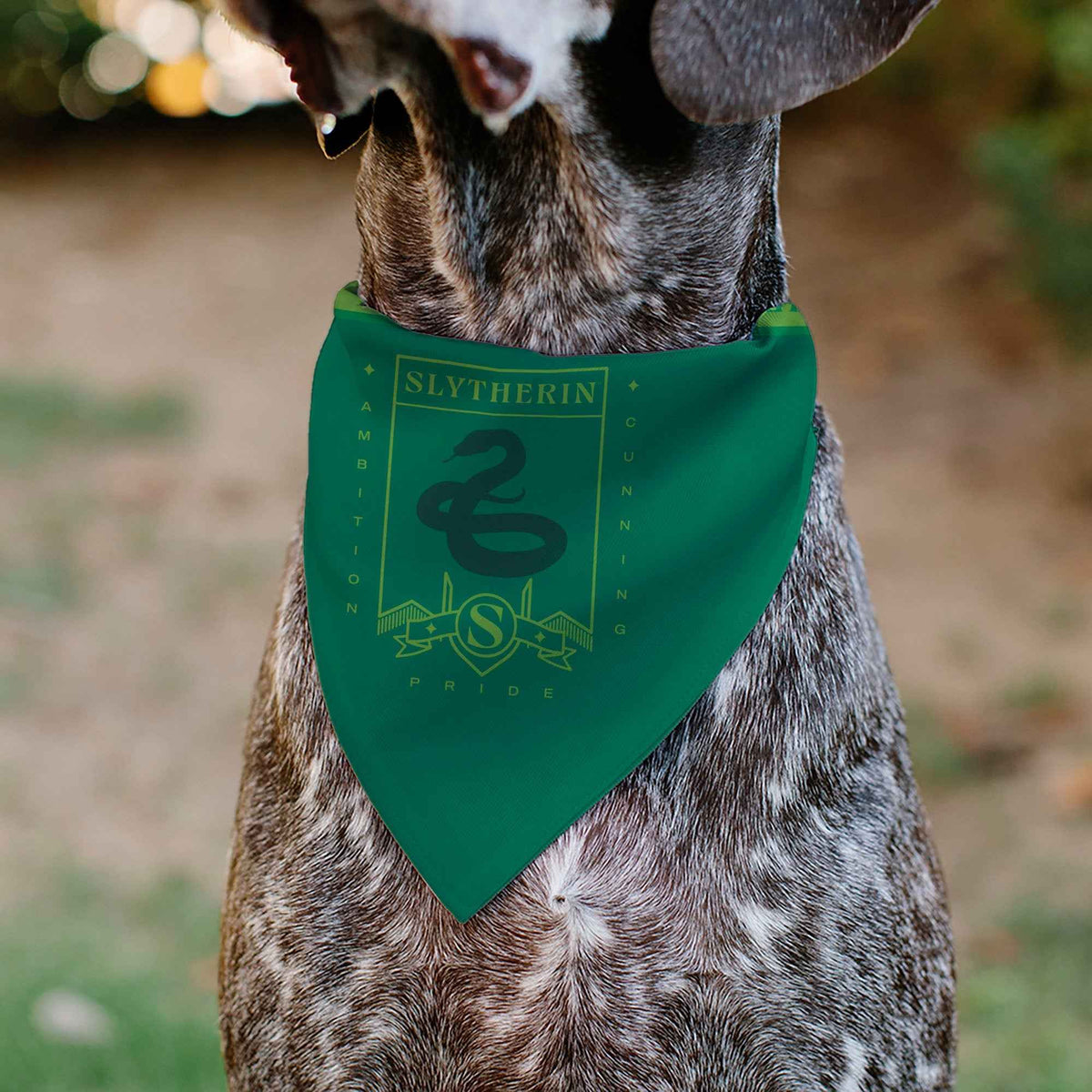 Pet Bandana - Harry Potter SLYTHERIN Traits Banner and Icons Greens/Yellow