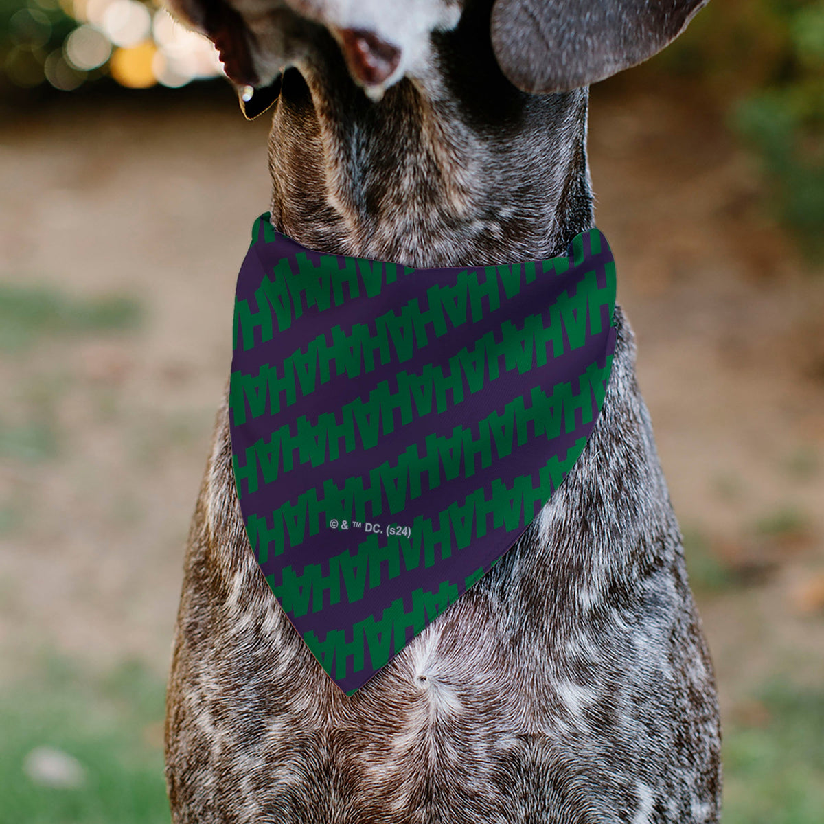Pet Bandana - The Joker Laugh HAHAHA Text Purple/Green | HT Animal Supply
