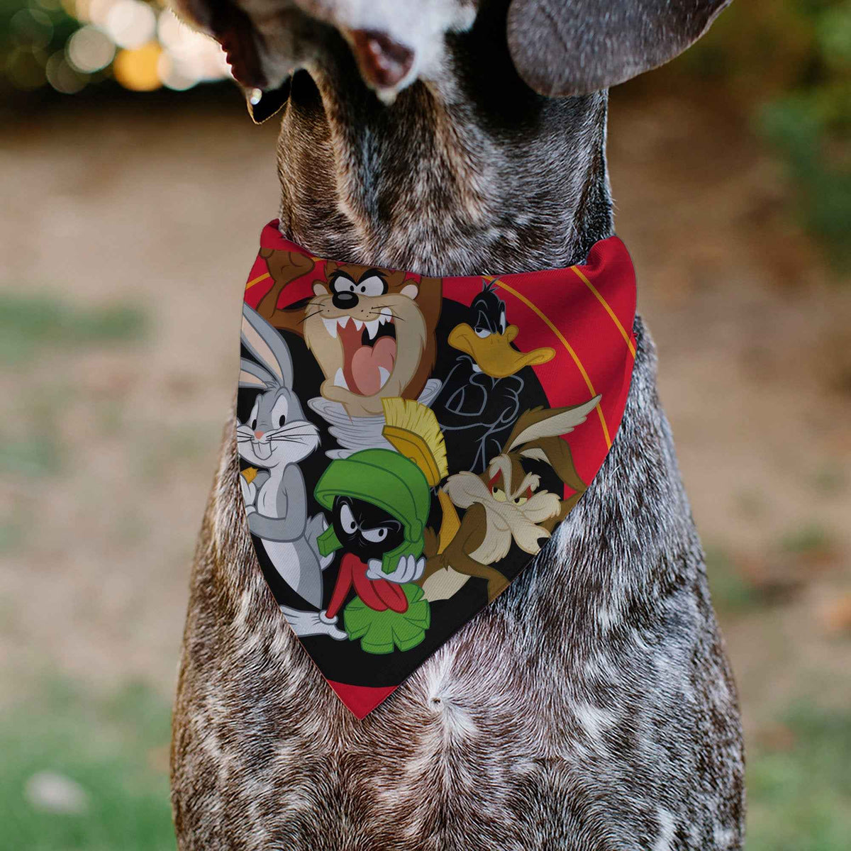 Pet Bandana - LOONEY TUNES Five Character Target Close-Up Pose Red