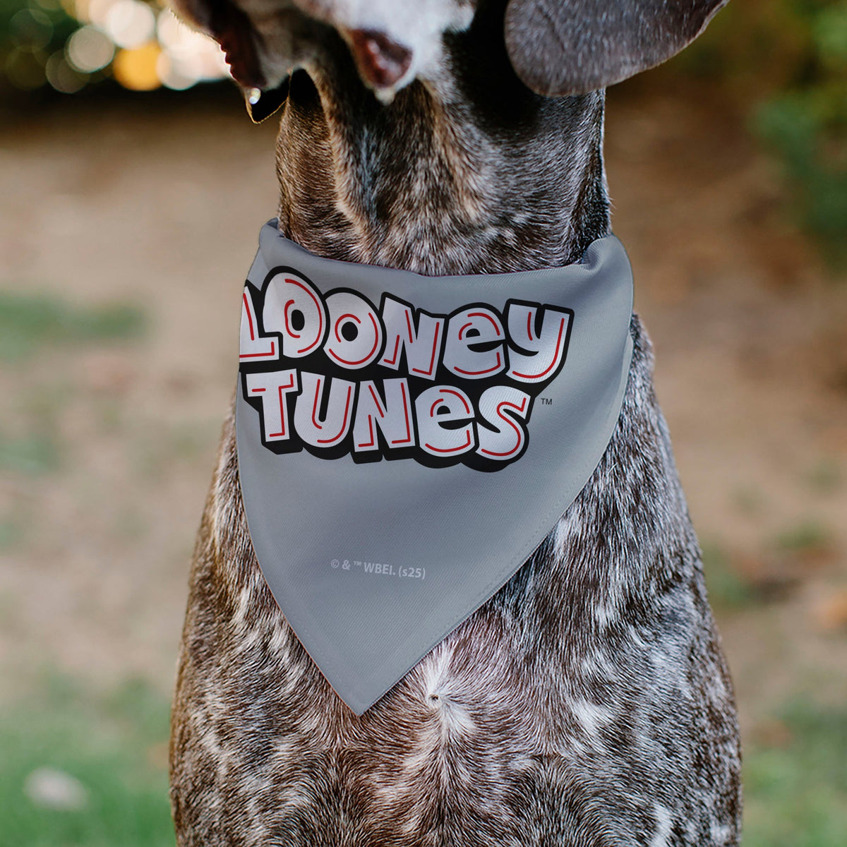 Pet Bandana - LOONEY TUNES Seven Character Running Pose Gray | HT Animal Supply