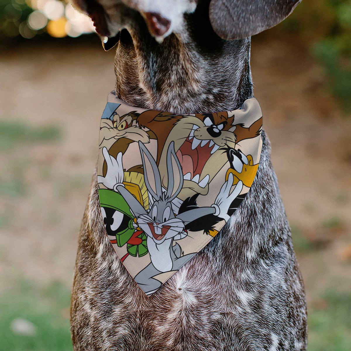 Pet Bandana - LOONEY TUNES Six Character Stack Pose Beige