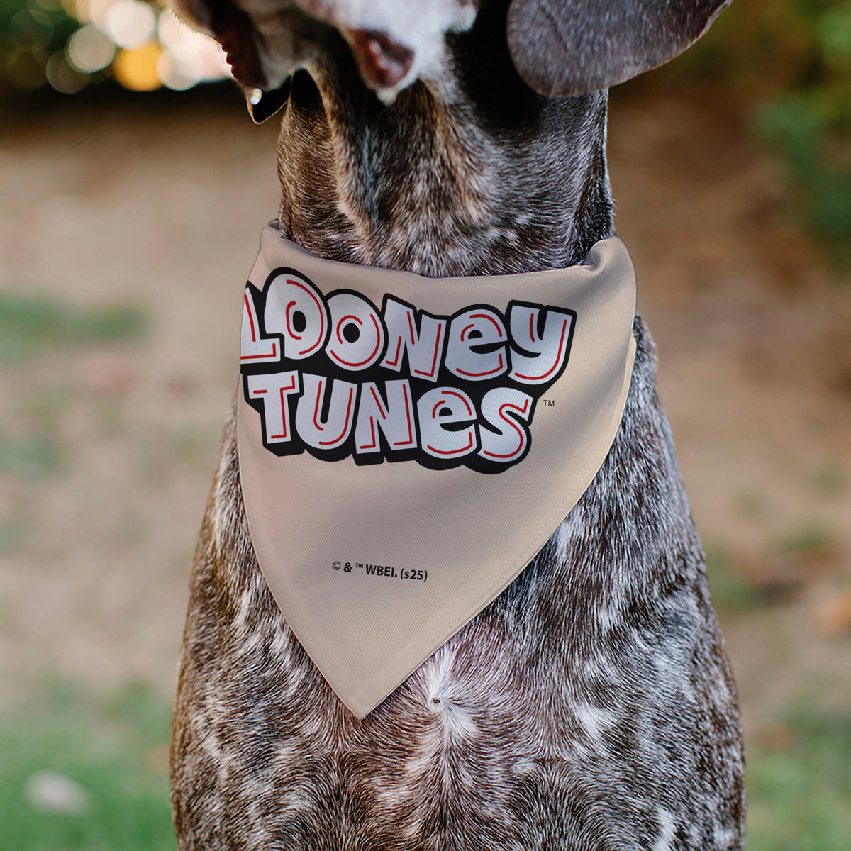 Pet Bandana - LOONEY TUNES Six Character Stack Pose Beige | HT Animal Supply