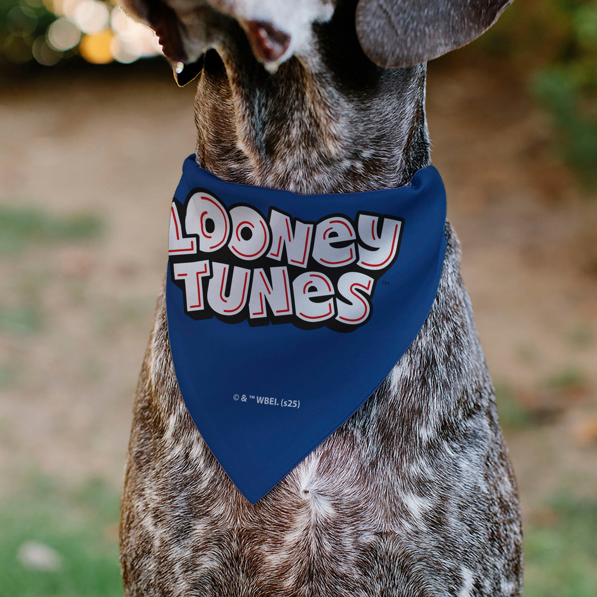 Pet Bandana - LOONEY TUNES Seven Character Stack Pose Blue | HT Animal Supply