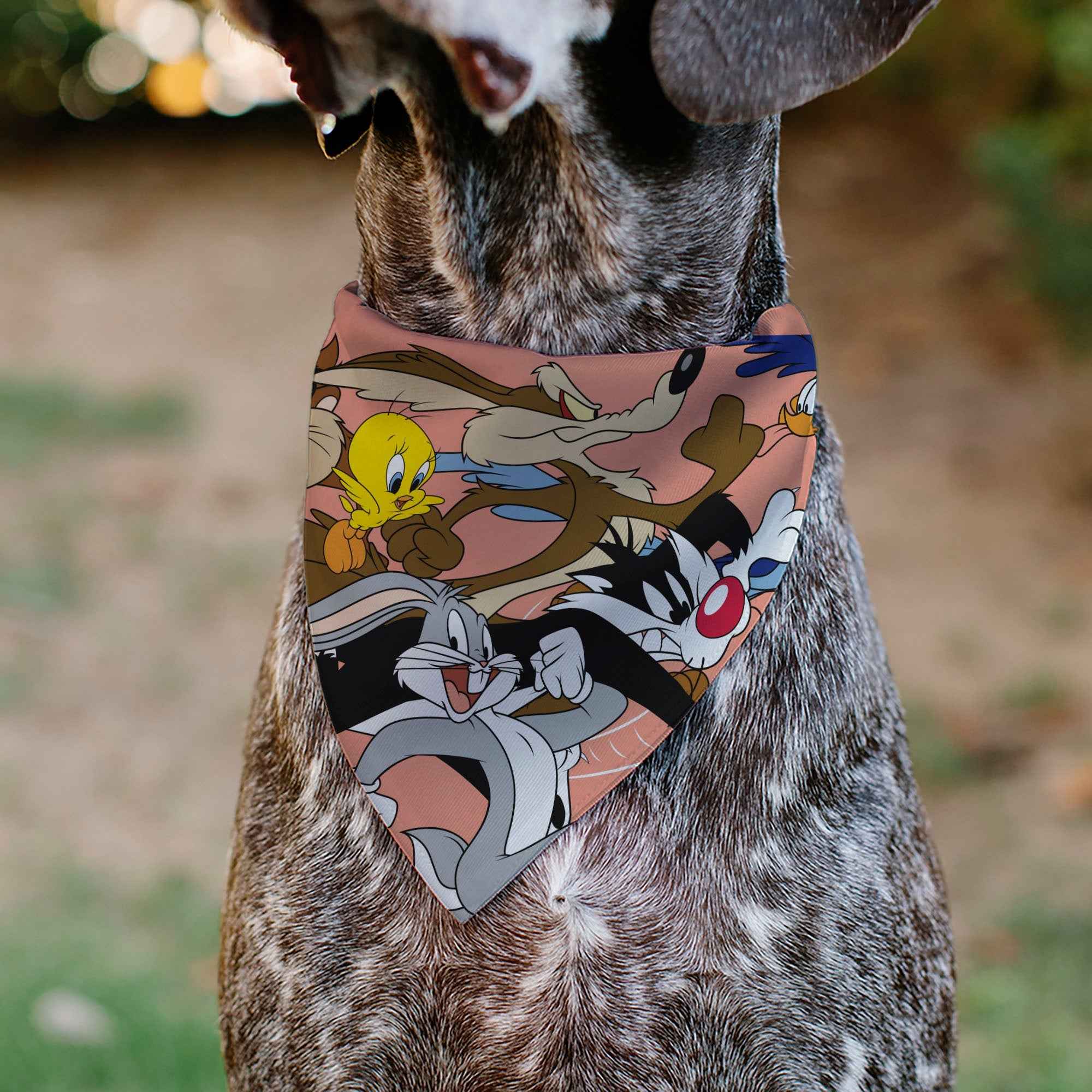 Buckle-Down Looney Tunes Six Character Running Pose Pink Over-the-Collar Dog Bandana