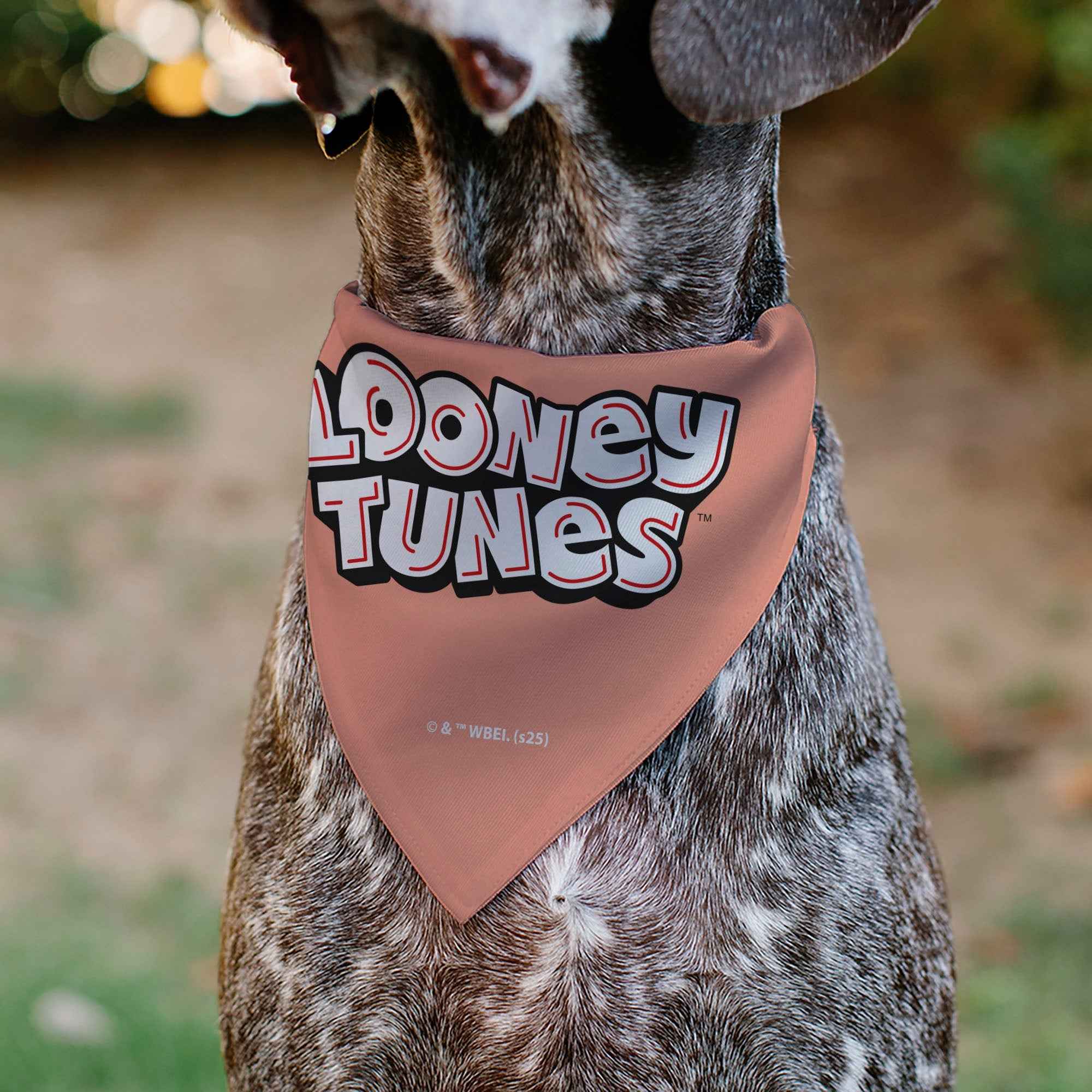 Buckle-Down Looney Tunes Six Character Running Pose Pink Over-the-Collar Dog Bandana