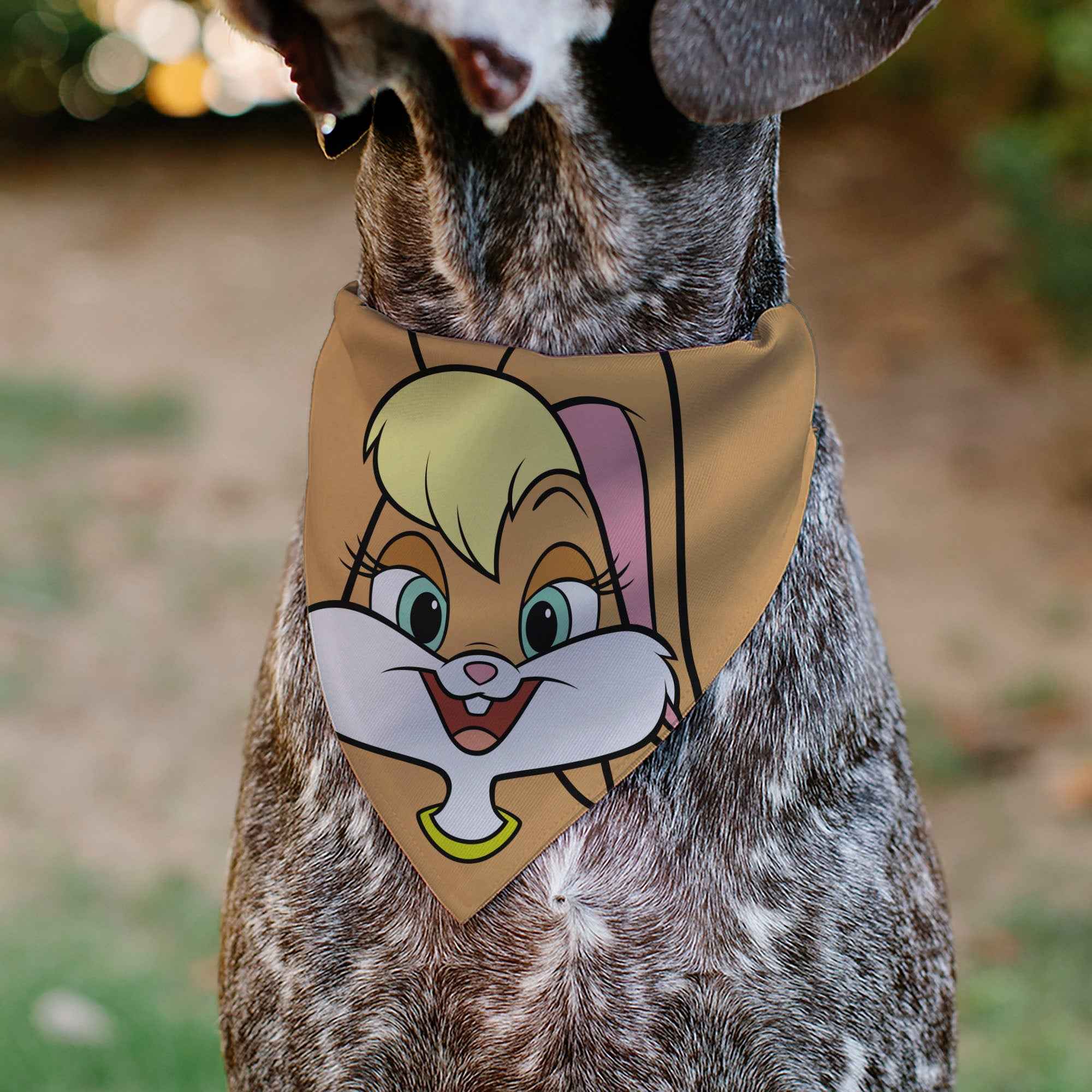 Buckle-Down Looney Tunes Lola Bunny Face Close-Up Peach Over-the-Collar Dog Bandana