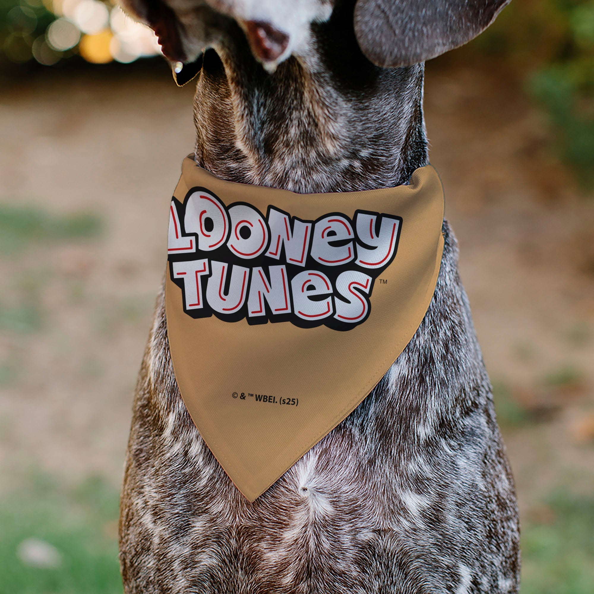 Buckle-Down Looney Tunes Lola Bunny Face Close-Up Peach Over-the-Collar Dog Bandana