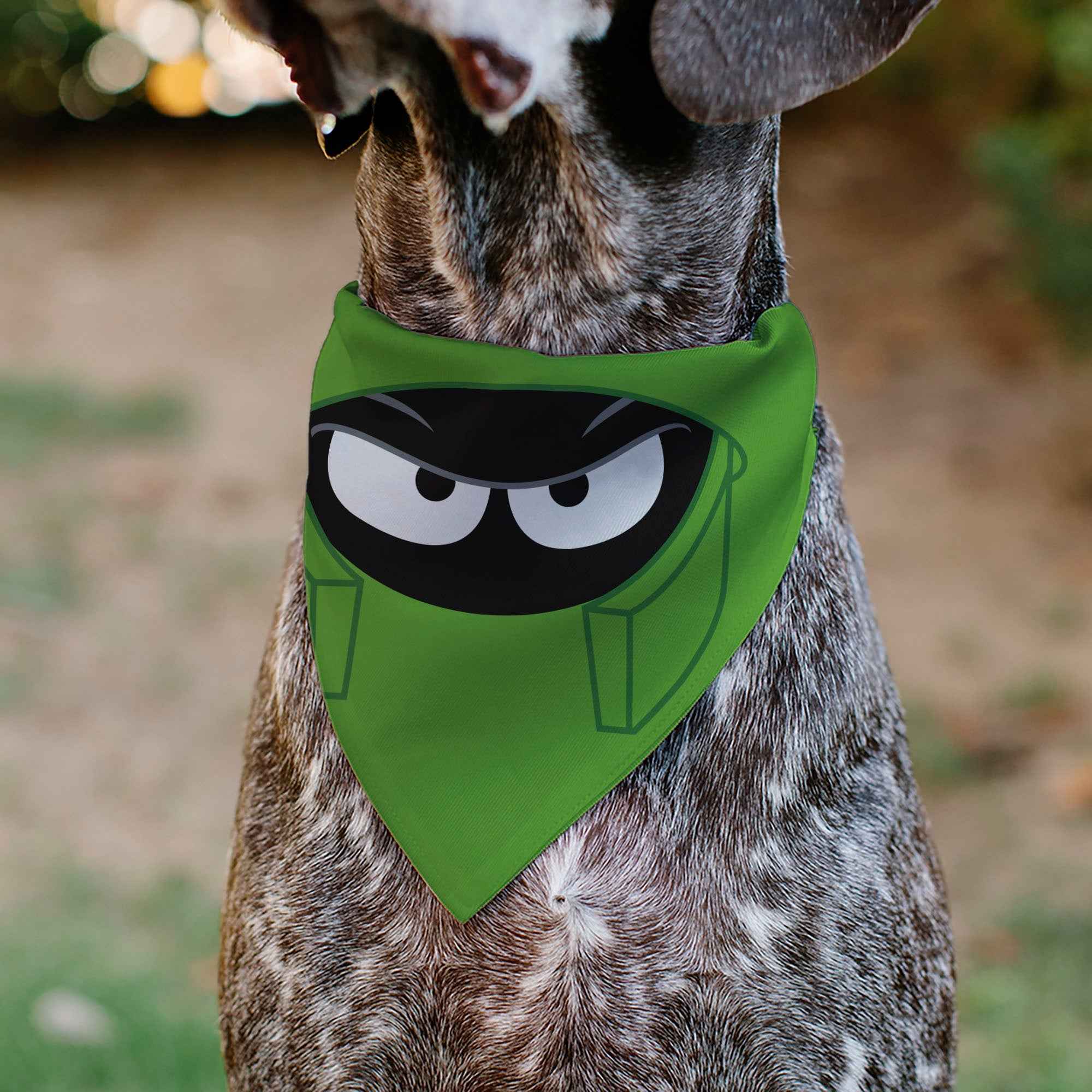 Buckle-Down Looney Tunes Marvin the Martian Face Close-Up Green Over-the-Collar Dog Bandana