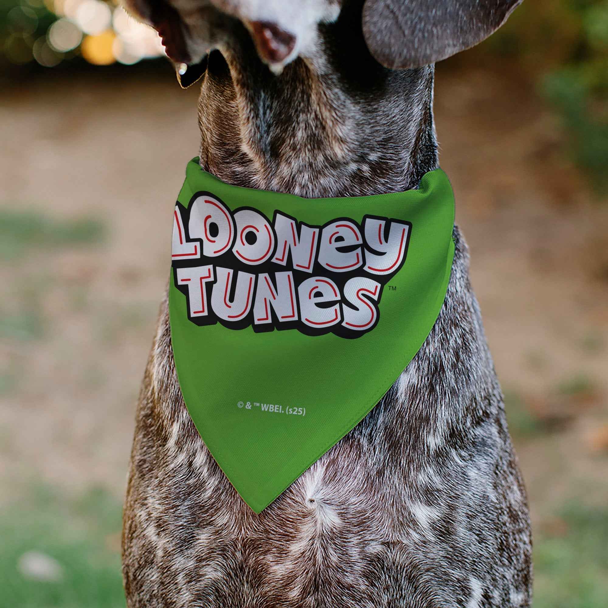 Buckle-Down Looney Tunes Marvin the Martian Face Close-Up Green Over-the-Collar Dog Bandana