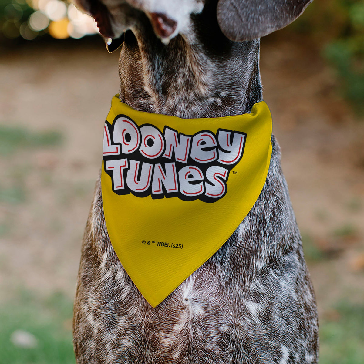 Pet Bandana - LOONEY TUNES Speedy Gonzales Face Close-Up Yellow | HT Animal Supply