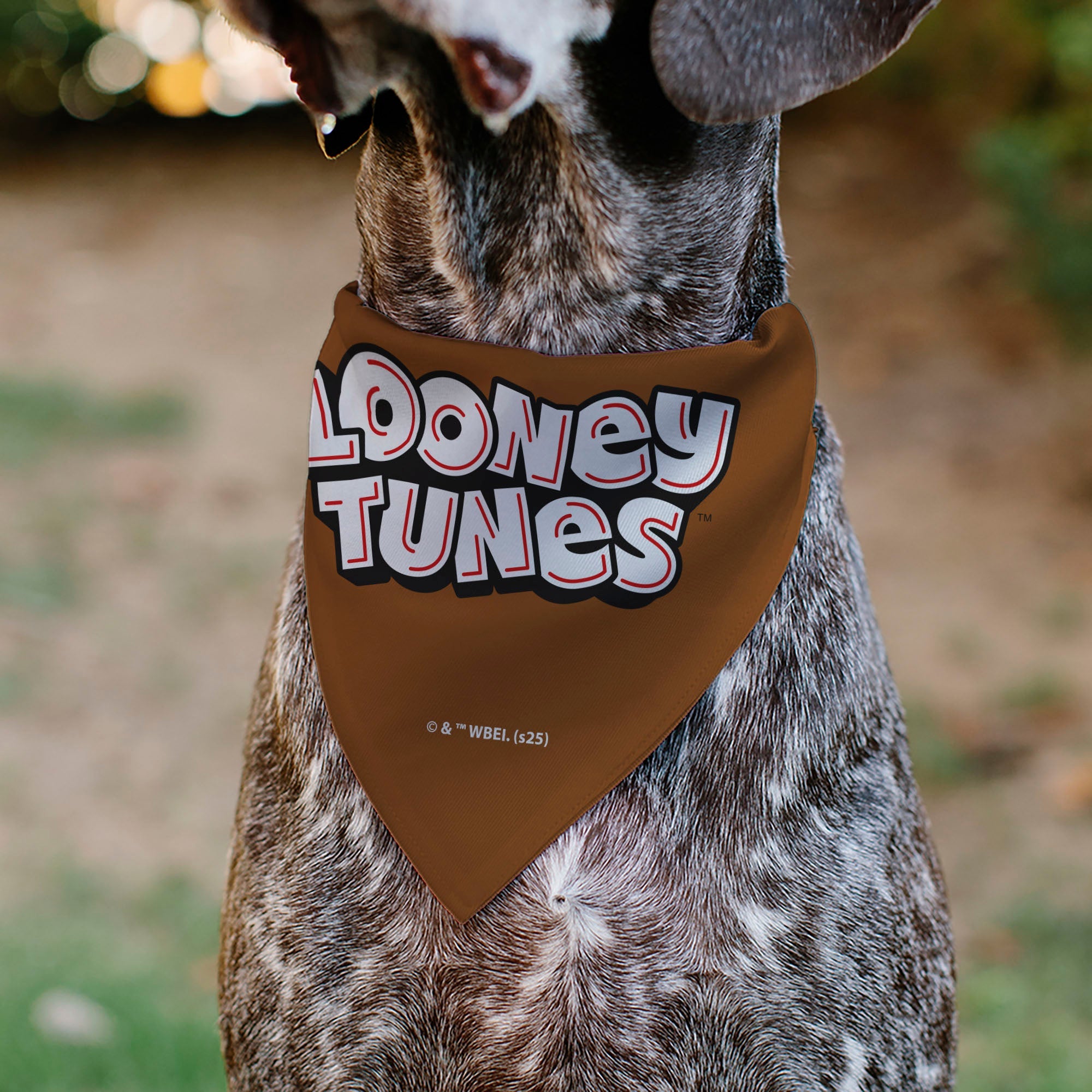Pet Bandana - LOONEY TUNES Taz Tasmanian Devil Face Close-Up Brown | HT Animal Supply