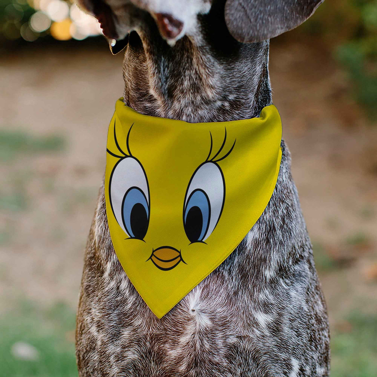 Pet Bandana - LOONEY TUNES Tweety Bird Face Close-Up Yellow